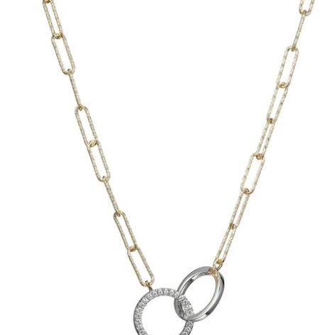 Elegant necklace with two interlocking rings on a delicate chain.